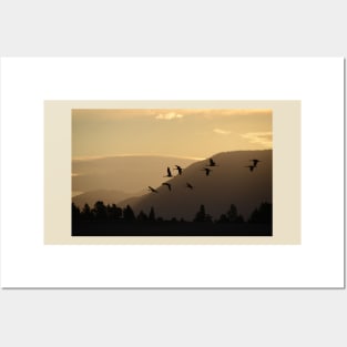 Cranes at Sunrise Posters and Art